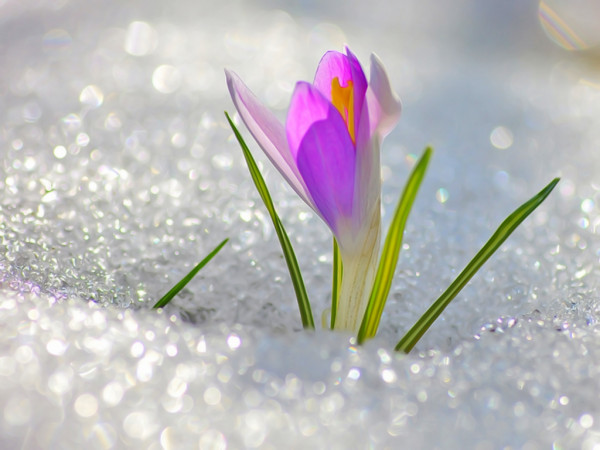 Лучший РАССКАЗ о ЛЮБВИ